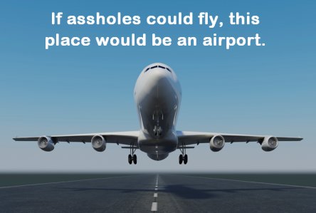 if assholes could fly, this place would be an airport